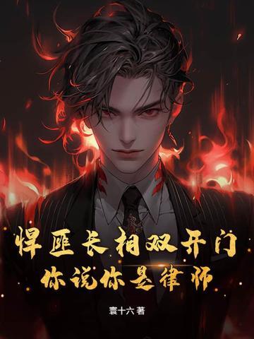 悍匪长相双开门,你说你是律师?
