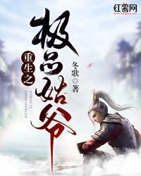 重生之极品姑爷